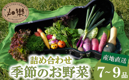 旬の野菜 セット 7〜9品野菜野菜野菜野菜下関 山口