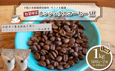 [中深煎り] 訳あり コーヒー豆 1kg ( 500g × 2袋 ) ホンジュラス コーヒー 珈琲 出荷当日 自家焙煎 数量限定 スペシャルティコーヒー ウミノネコーヒー 下関 山口 コｰヒｰコｰヒｰコｰヒｰコｰヒｰコｰヒｰコｰヒｰコｰヒｰコｰヒｰ EW153-C