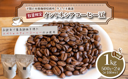 [中深煎り]訳あり コーヒー豆 1kg ( 500g × 2袋 ) インドネシア コーヒー 珈琲 出荷当日 自家焙煎 数量限定 スペシャルティコーヒー ウミノネコーヒー 下関 山口 コｰヒｰコｰヒｰコｰヒｰコｰヒｰコｰヒｰコｰヒｰコｰヒｰコｰヒｰ EW152-C