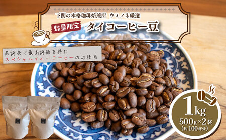 [中煎り]訳あり コーヒー豆 1kg ( 500g × 2袋 ) タイ コーヒー 珈琲 出荷当日 自家焙煎 数量限定 スペシャルティコーヒー ウミノネコーヒー 下関 山口 コｰヒｰコｰヒｰコｰヒｰコｰヒｰコｰヒｰコｰヒｰコｰヒｰコｰヒｰ EW151-C