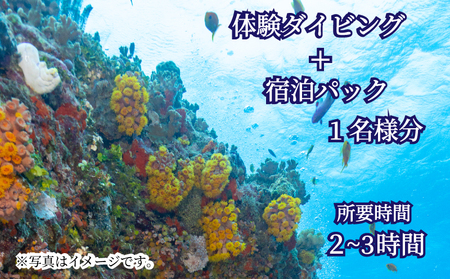 ダイビング 宿泊 体験 ビーチ スポーツ マリンスポーツ 宿泊 下関 山口 JQ003