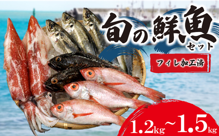 旬の 鮮魚 1.2kg〜1.5kg フィレ 加工 処理済 (鮮魚) 下関 山口 IA102-f