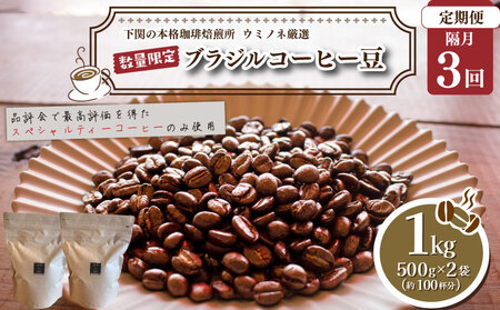 [定期便][豆] 訳あり コーヒー豆 1kg ( 500g × 2袋 ) ブラジル 隔月3回 合計 3kg 再入荷 2024年度入荷分 コーヒー 珈琲 出荷当日 自家焙煎 数量限定 スペシャルティコーヒー ウミノネコーヒー 下関 山口 コｰヒｰコｰヒｰコｰヒｰコｰヒｰコｰヒｰコｰヒｰコｰヒｰコｰヒｰ コｰヒｰ