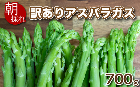 アスパラガス 訳あり 加工用 700g アスパラ アスパラ S〜3L 混合 サイズ アスパラ アスパラ 新鮮 先行予約 アスパラ 訳あり セット 野菜 新鮮 夕飯 FS106-78