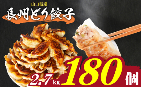 訳あり 餃子180個 冷凍 長州どり 鶏肉餃子餃子餃子餃子餃子餃子 IB016