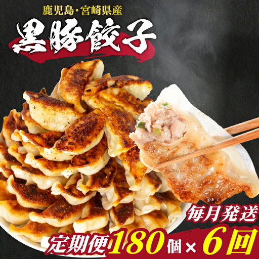  訳あり 餃子180個 餃子定期便 6回 ぎょうざ IB