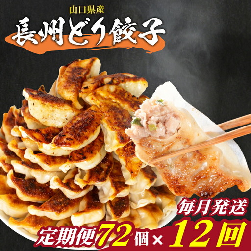 訳あり 長州どり餃子 72個 定期便 毎月12回 餃子 ギョウザ IB
