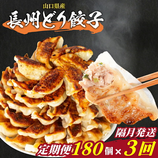 訳あり 長州どり餃子 180個 定期便 隔月3回 餃子 ギョウザ IB