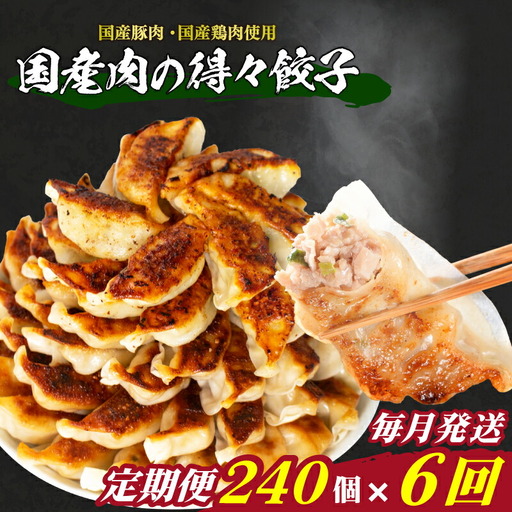 訳あり 国産肉の得々餃子 240個 定期便 毎月6回 餃子 ギョウザ IB