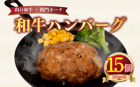 ハンバーグ 15個 冷凍 肉 惣菜 おかず ハンバーグ MB004