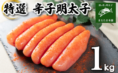 I q 1kg q q q q q DT113-2