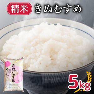 [新米] きぬむすめ 5kg 精米 お米 HC