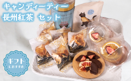 [キャンディー紅茶] ギフトセット 紅茶 LL