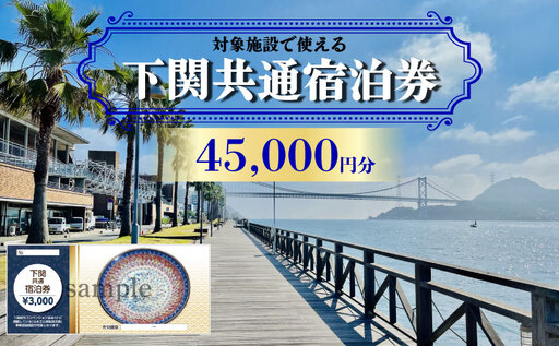 [下関]共通宿泊利用券 45,000円分 宿泊 観光 旅行 IS