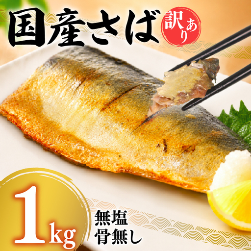 さば フィーレ 1kg 訳あり 国産さば NV