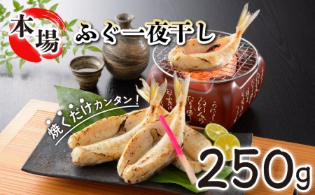 ふぐ 国産 一夜 干し 250g おつまみ ギフト ( 干物 )