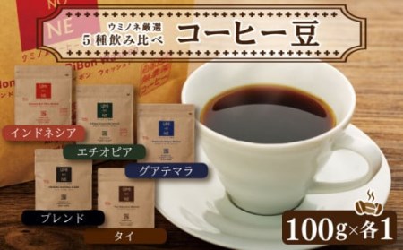 スペシャルティ コーヒー 5種 飲み比べ セット お取り寄せ ブレンド インドネシア エチオピア タイ グアテマラ 100g × 各1袋 新鮮 無農薬 贈り物 下関市 山口 EW002-NT