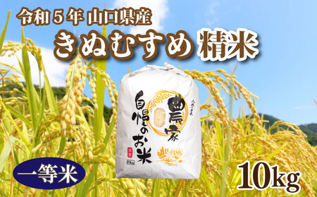 [期間限定]令和5年 米 収穫 山口県産きぬむすめ 精米 10kg×1箱