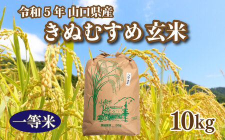 [期間限定]令和5年 米 収穫 山口県産きぬむすめ 玄米 10kg×1箱 GA003_1