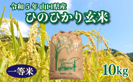 [期間限定]令和5年 米 収穫 山口県産ひのひかり 玄米 10kg×1箱 GA004_1
