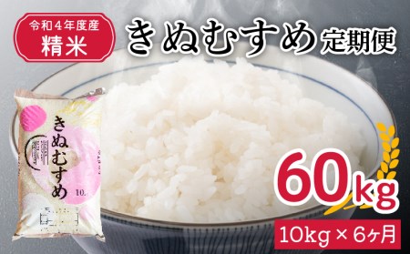 【 10月 1日 以降価格改定 ( 値上げ ) 】【定期便6ヵ月】令和4年産 きぬむすめ 10kg×6回 精米 やまだ農園 豊田 下関 HC003