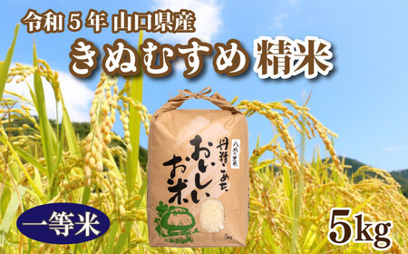 [期間限定]令和5年 米 収穫 山口県産きぬむすめ 精米 5kg×1箱