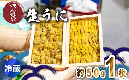 生うに 通常品 1枚 約50g 紫うに 赤うに 冷蔵 下関 唐戸市場 直送 ( うに ムラサキウニ アカウニ 生うに 雲丹 角島産うに 下関生うに 板うに ウニ 雲丹 うに 紫ウニ ウニ丼 魚介 海産物 海の幸 うに丼 うに刺身 おつまみうに 冷蔵生うに 新鮮うに 角島うに うに 雲丹 うに 雲丹 うに 雲丹 うに 雲丹 うに 雲丹 うに 雲丹 うに 雲丹 うに 雲丹 うに 雲丹 うに 雲丹 うに 雲丹 うに 雲丹 うに 雲丹 ウニ うに 雲丹 ウニ うに 雲丹 ウニ うに 雲丹 ウニ うに 雲丹 ウニ うに 雲丹 ウニ うに 雲丹 ウニ うに 雲丹 ウニ うに 雲丹 ウニ うに 雲丹 ウニ うに 雲丹 ウニ うに 雲丹 ウニ ) FY008