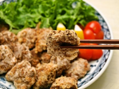 鯨 竜田揚げ 200g x 5 冷凍 くじら クジラ [ くじら専門店 ] ( 鯨 鯨肉 クジラ 鯨肉 惣菜 名産地 おかず 下関市 下関 の名産地 料理 惣菜 おかず ) BY107-NT