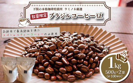 [粗挽き] 訳あり コーヒー豆 1kg ( 500g × 2袋 ) ブラジル 再入荷 2024年度入荷分 コーヒー 珈琲 出荷当日 自家焙煎 数量限定 スペシャルティコーヒー ウミノネコーヒー 下関 山口 コｰヒｰコｰヒｰコｰヒｰコｰヒｰコｰヒｰコｰヒｰコｰヒｰコｰヒｰ EW144-B