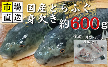 [北海道・東北・沖縄・離島配送不可/着日指定必須]市場直送!とらふぐ 身欠き 1匹分 600g前後 海鮮 フグフグフグ
