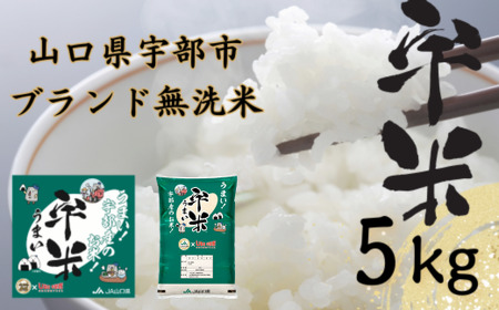 [先行予約][令和6年度新米]宇部市産 恋の予感 ブランド米 無洗米 宇米 5kg 1袋 宇部市 米(こめ おこめ お米 精米 国産米 宇部 宇米 無洗米 ご飯 ごはん ふっくら ご飯 おいしい お 白米 おいしい 上品な ブランド 一等品 ふるさと納税 ふるさと 農産物 農家の ) DR001-FN