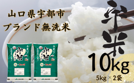 [先行予約][令和6年度新米]宇部市産 ブランド米 無洗米 宇米 10kg (5kg 2袋) 宇部市 米(こめ おこめ お米 精米 国産米 宇部 宇米 無洗米 ご飯 ごはん ふっくら ご飯 おいしい お米 おいしい 上品な お 白米 ブランド 一等品 ふるさと納税 ふるさと 農産物 農家の ) DR002-FN