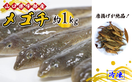 メゴチ ・ メコチ (1kg) [魚 新鮮 鮮魚 さかな 魚類 ツマミ 唐揚げ 市場直送 山口県 宇部市 メゴチ めごち メコチ]AJ17-FN