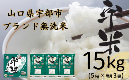 [令和6年度新米][先行予約][定期便]恋の予感 5kg(5kg×1袋) 隔月×3回(合計15kg)[無洗米][宇米]※偶数月(2025年2月, 4月, 6月)にお届け [米 お米 精米 国産米 山口県産米 宇部 宇米 無洗米 ご飯 コメ ごはん ふっくら 恋の予感 定期便] DR004-FN