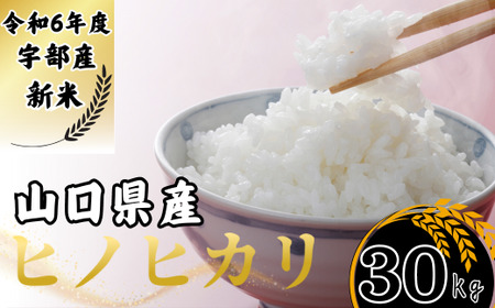 [先行予約/令和6年度新米] ヒノヒカリ 30Kg [精米][山口県宇部産] [令和6年度 新米 ヒノヒカリ 30Kg 精米 山口県産 宇部産 地元米 農家直送 宇部市 美味しい お米 寒暖差 霜降山麓 綺麗な水 高品質 新鮮 収穫直後 国産米 ご飯 炊き立て 美味しさ長持ち] EF01-FN