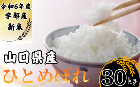 [先行予約/令和6年度新米] ひとめぼれ 30Kg [精米][山口県宇部産] [令和6年度 新米 ひとめぼれ 30Kg 精米 山口県産 宇部産 地元米 農家直送 宇部市 美味しい お米 寒暖差 霜降山麓 綺麗な水 高品質 新鮮 収穫直後 国産米 ご飯 炊き立て 美味しさ長持ち] EF03-FN