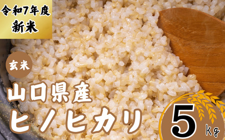 [先行予約/令和7年度新米] ヒノヒカリ 5Kg [玄米][山口県宇部産] [令和7年度 新米 ヒノヒカリ 5Kg 玄米 山口県産 宇部 地元米 農家直送 宇部市 美味しい お米 寒暖差 霜降山麓 綺麗な水 高品質 新鮮 収穫直後 国産米 ご飯 炊き立て 美味しさ長持ち] EF07-FN