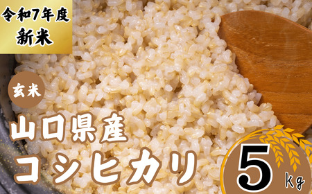 [先行予約/令和7年度新米] コシヒカリ 5Kg [玄米][山口県宇部産] [令和7年度 新米 コシヒカリ 5Kg 玄米 山口県産 宇部 地元米 農家直送 宇部市 美味しい お米 寒暖差 霜降山麓 綺麗な水 高品質 新鮮 収穫直後 国産米 ご飯 炊き立て 美味しさ長持ち] EF08-FN