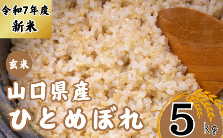 [先行予約/令和7年度新米] ひとめぼれ 5Kg [玄米][山口県宇部産] [令和7年度 新米 ひとめぼれ 5Kg 玄米 山口県産 宇部 地元米 農家直送 宇部市 美味しい お米 寒暖差 霜降山麓 綺麗な水 高品質 新鮮 収穫直後 国産米 ご飯 炊き立て 美味しさ長持ち] EF09-FN