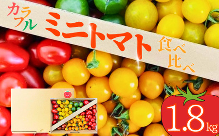 [ミニトマト]カラフルミニトマト! 約1.8kg (3〜5種入り)