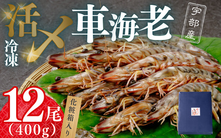 [活き〆]冷凍車海老 12尾 400g | 車海老 車海老 車海老 車海老 車海老 山口県 宇部市