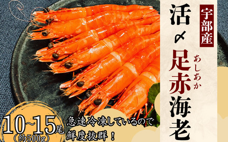 [活き〆]冷凍 足赤えび 500g | 足赤えび 足赤えび 足赤えび 足赤えび 足赤えび 山口県 宇部市