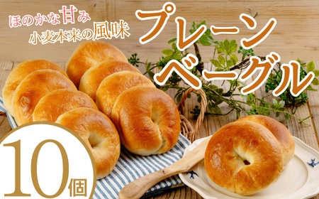 プレーンベーグル 訳あり OR FN-SupportProject OR 増量 年末企画 訳あり FN-SupportProject 増量 年末企画 - 