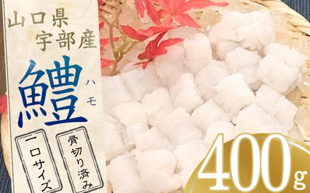 [宇部産]鱧 ハモ 400g[一口サイズ] ハモ ハモ