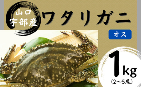 [北海道・東北・沖縄・離島配送不可/着日指定必須]ワタリガニ [オス] 約1kg(2〜5尾) ワタリガニ