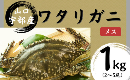 [北海道・東北・沖縄・離島配送不可/着日指定必須]ワタリガニ [メス] 約1kg(2〜5尾) ワタリガニ