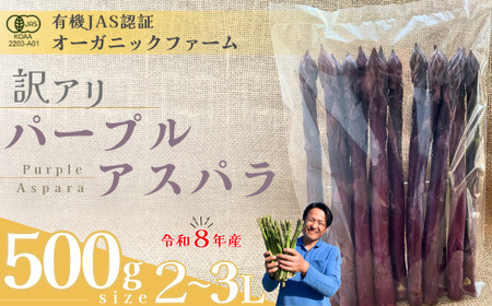[アスパラガス] 訳あり オーガニック パープルアスパラガス 2L〜3L 500g [先行予約]