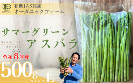 [先行予約]オーガニック サマーグリーンアスパラガス L 500g アスパラガス