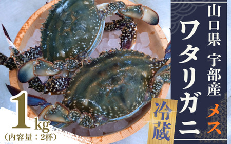 ���^���K�j �① ���^���K�j ���X 2�t (��1kg) �C�N �J�j