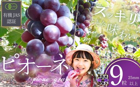 ぶどう [先行予約] ぶどうの粒 9粒(直径25mm以上)[2026年産]